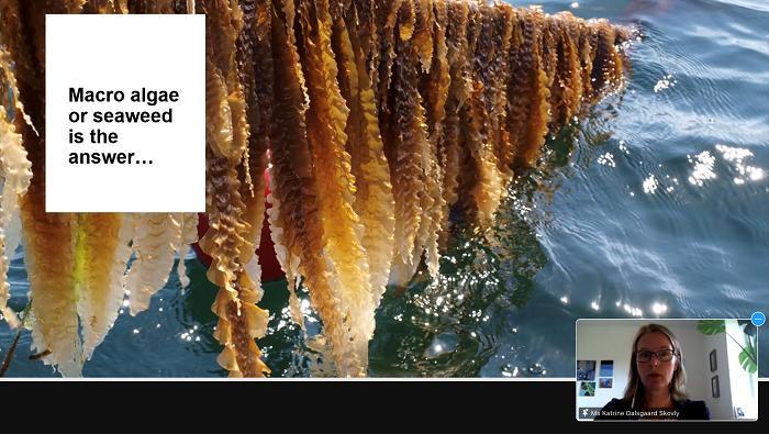 スコブリ氏が「ClimateFeed」プロジェクトを紹介
