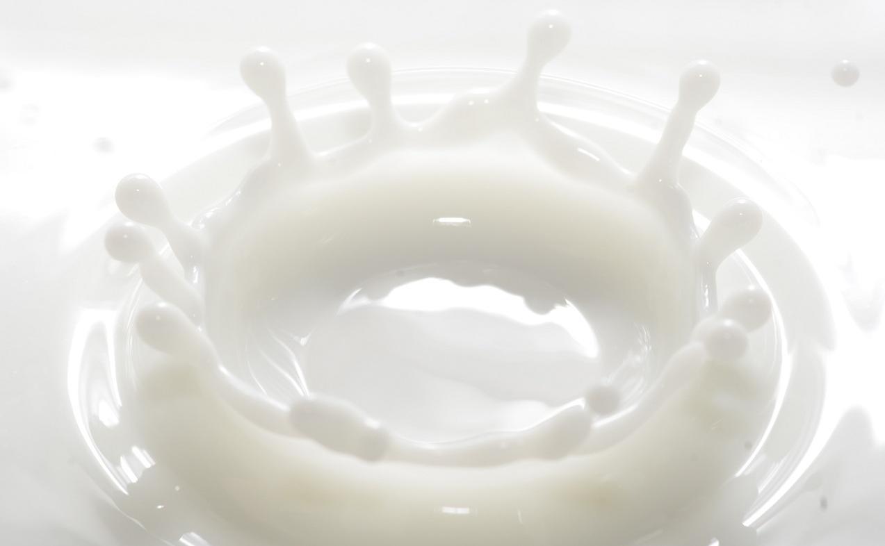 ニュース記事