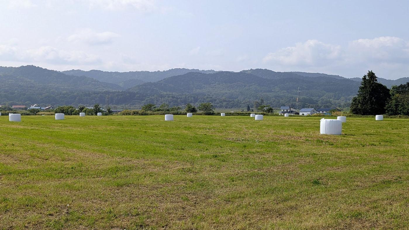 収穫が終わった採草地（9月4日に上川管内で撮影）