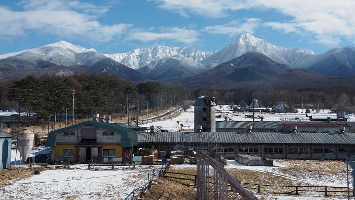 八ヶ岳中央農業実践大学校の酪農牛舎