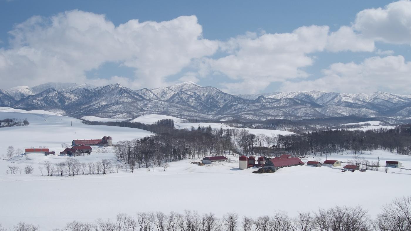 北海道の酪農風景