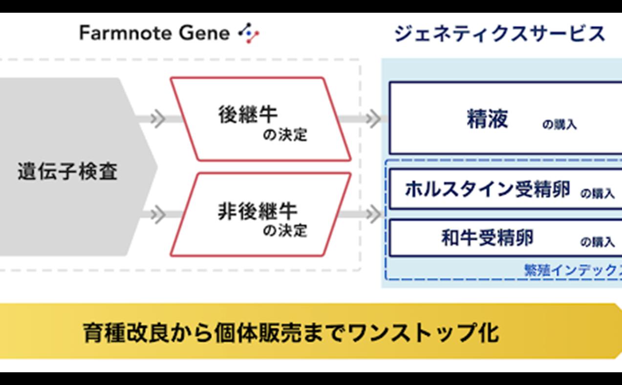 ニュース記事