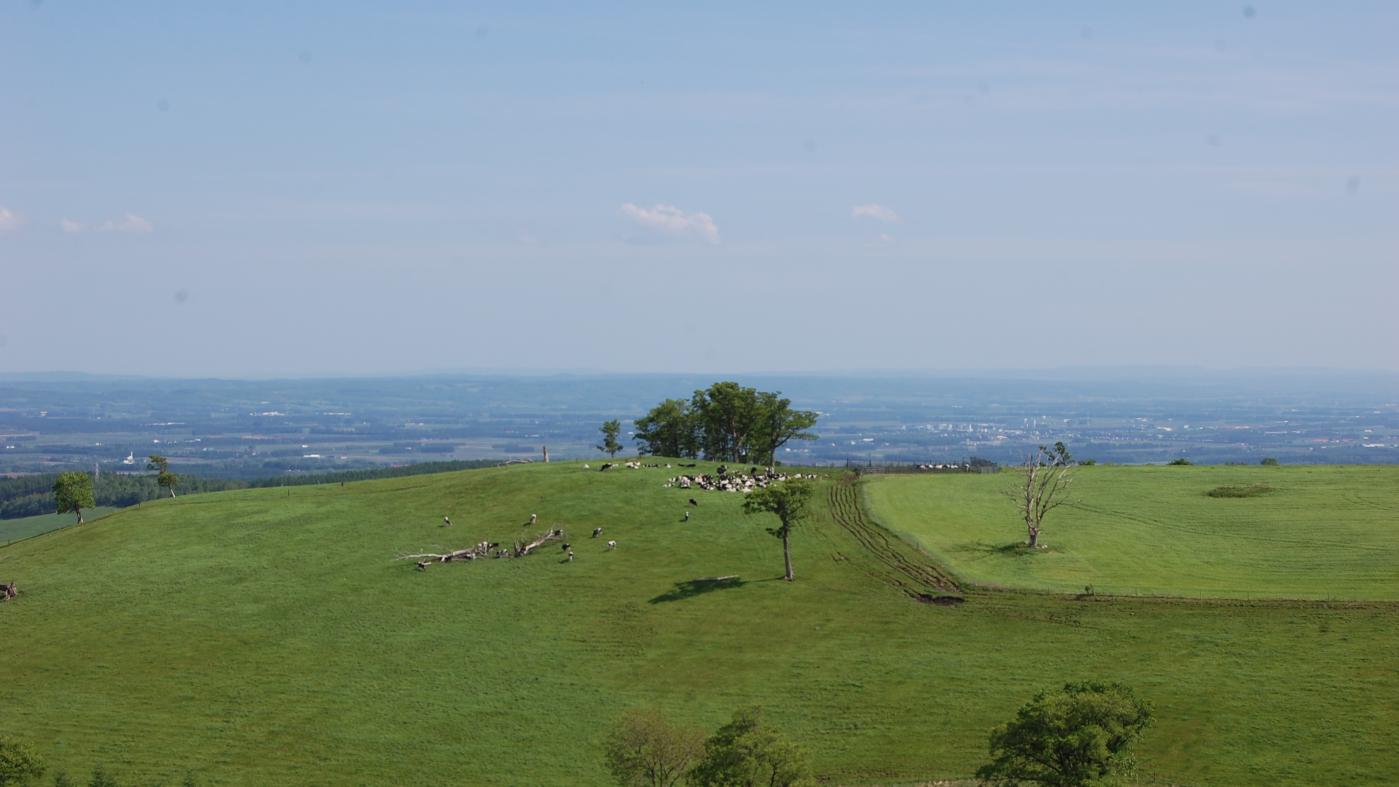 十勝の広大な酪農風景